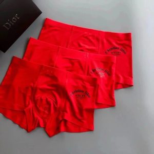 Everyday Underwear – 29 Styles