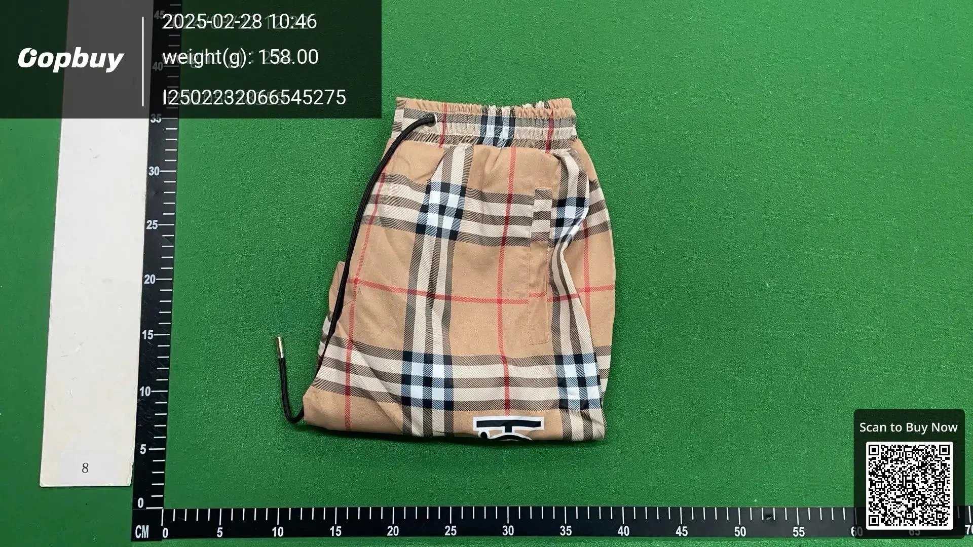 ALL-SHP-001 – additional view