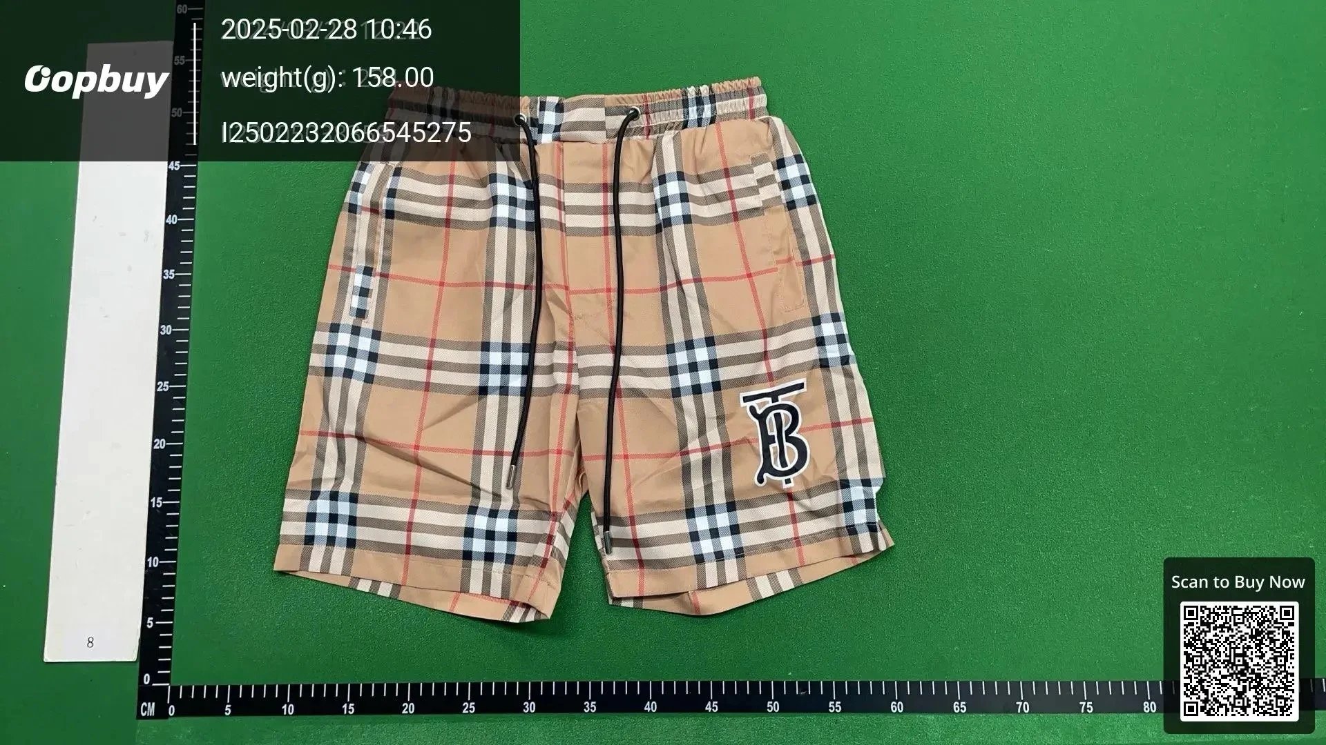 ALL-SHP-001 – additional view