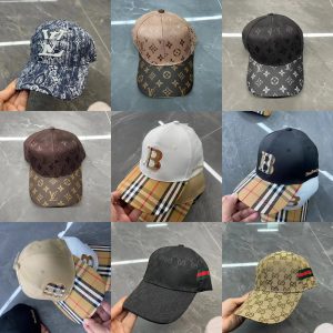 Fashionable Trendy Hat (E-083)